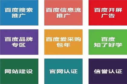 百度竞价代理的运营策略与成功案例分析